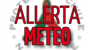 allerta-1